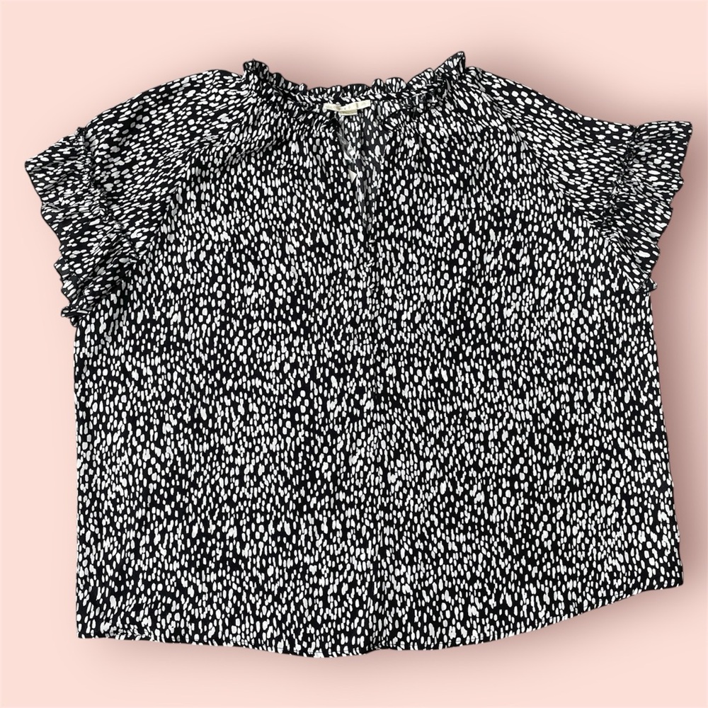 Cooper & Ella painted dot ruffle short sleeve top size 2X (NWT)